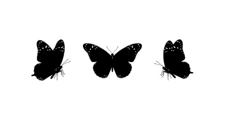 Three butterflies silhouette on transparent background © Mehrun
