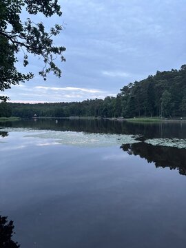 Serene lake reflecting trees and sky during twilight  