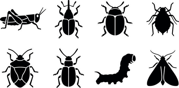 Garden pests and agricultural insects vector silhouettes collection featuring grasshopper caterpillar stink bug and beetle icons