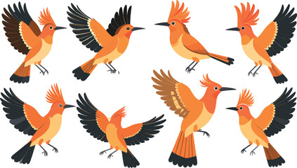 Majestic Eurasian hoopoe bird cartoon vector character set featuring orange songbirds spreading wings and flying in different poses, isolated wildlife graphic elements for nature logo design. © MstHura