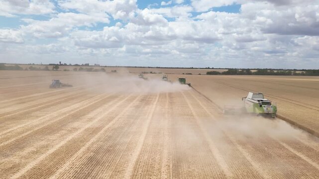 Drone footage capturing multiple combine harvesters harvesting a vast wheat field in coordinated formation during the summer harvest season
