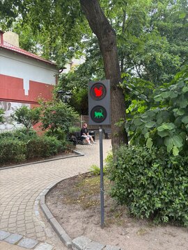 Traffic light displaying red and green signals designed as cute cat silhouettes n urban park setting  