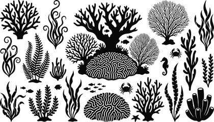 Coral Reef and Marine Life Silhouette Set with Seaweed Fish Crab and Ocean Botanical Elements © Smith