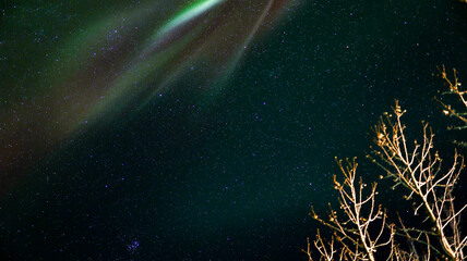 Overhead aurora borealis in Southern Iceland © Patricia BC