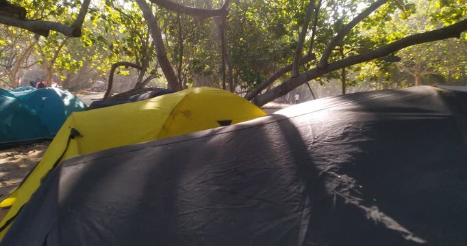 Camping tents set up in a forest with sunlight filtering through the trees.