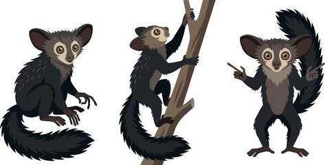 Aye Aye Lemur Vector Illustration Set Featuring Endangered Madagascar Primate Character in Sitting Climbing and Standing Poses for Wildlife Graphic DesignsAye Aye Lemur Vector Illustration Set Featuri © MDHAFIJUDDIN