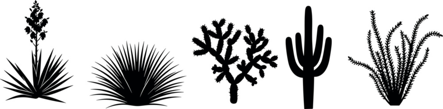 Desert Plant Silhouette Collection Featuring Yucca, Agave, Cactus, and Ocotillo