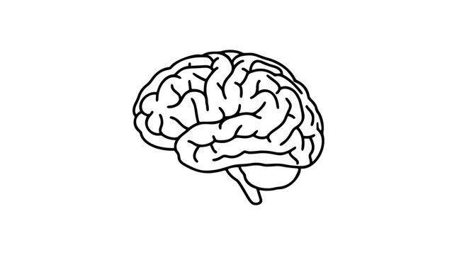 A clean black and white line art vector icon of a detailed brain outline with internal structure, fitting for medical textbooks, therapy websites, or cognitive science publications.