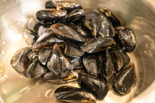 Fresh raw black mussel shellfish soaking in clear water inside a metal pot ready for cooking a delicious seafood dish at home