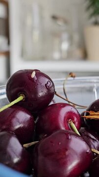 White worms crawl together into the core of ripe red cherry with juicy pulp, close-up, macro. Nutrition of cherry fly larvae. Spoiled, poor quality berry crop. 
