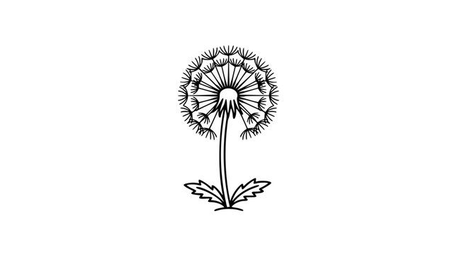 A delicate dandelion puff with seeds floating away in elegant black and white line art, wonderful for nature themes, wish concepts, or botanical designs.