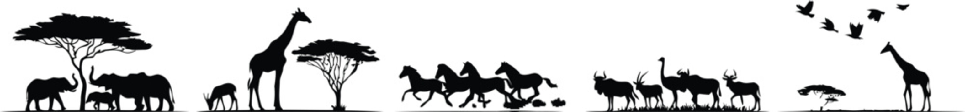 African wildlife silhouette scene with giraffes elephants zebras and birds
