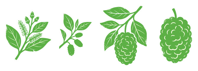 Naklejka premium Mulberry plant and fruit green silhouette vector illustration set for natural product labels, food packaging, and botanical designs
