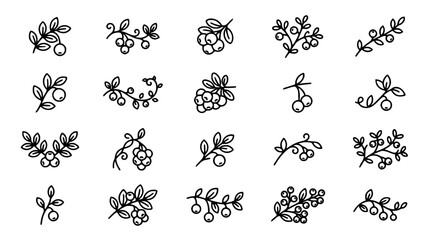 Set of hand drawn berry branches and leaves in a clean vector silhouette style © MdShahazahan