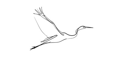 Obraz premium Minimalist crane bird drawing white background.