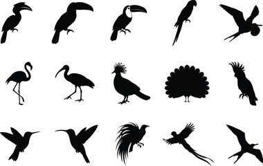 Exotic Bird Silhouette Collection with Tropical Flying and Perched Wildlife Vector Set © Vector World