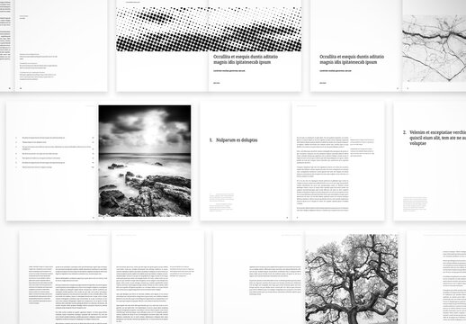 Minimalist Editorial Book