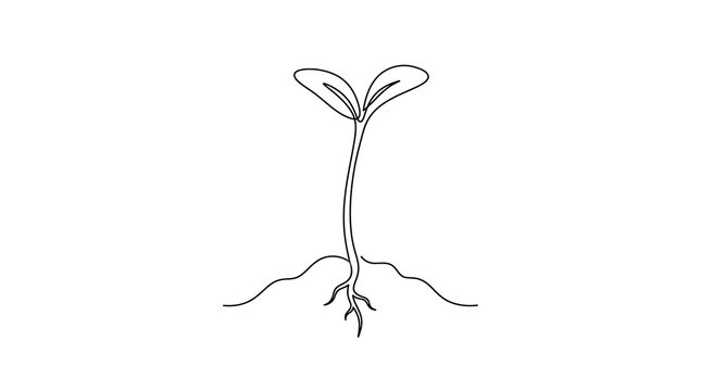 Continuous line drawing of a growing plant seedling with roots