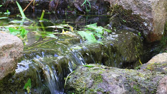 Small decorative waterfall in a garden pond