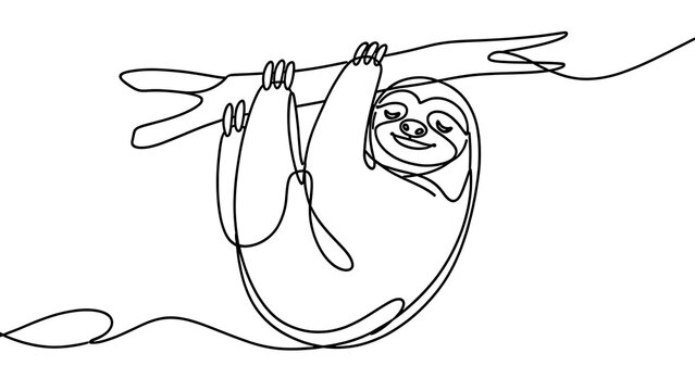Sloth hanging from branch white background.