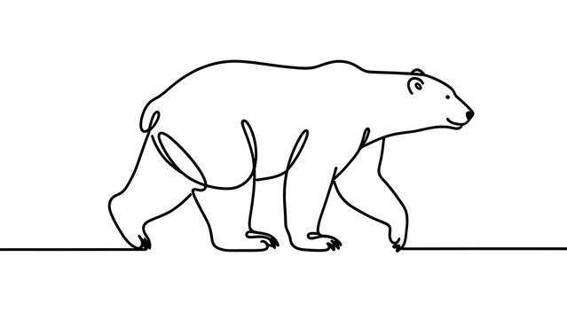 Minimalist polar bear line art white background.