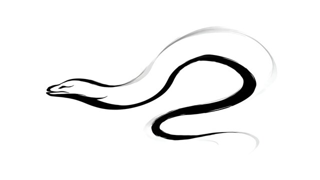 Elegant black snake illustration on white background.