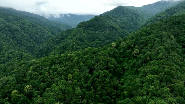 Soft blue mountain scenery with foggy forest layers creating a calming sustainable background for eco branding, climate campaigns, green transportation, and investment themes.
