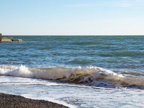 Big waves on the Black Sea coast in winter day
