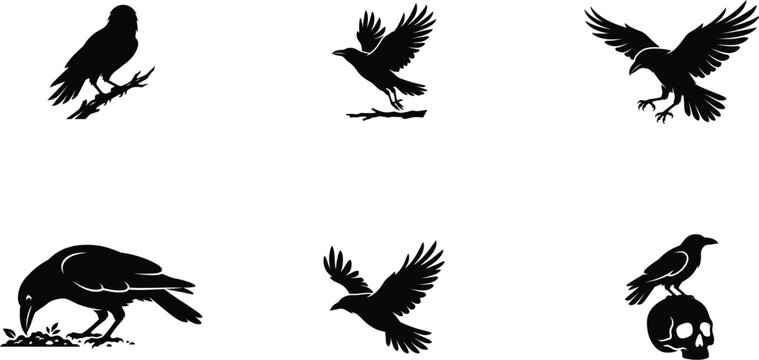 Black crow and raven silhouettes in different poses.