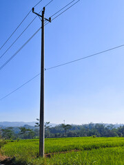 Obraz premium Power Pole in Rural Landscape