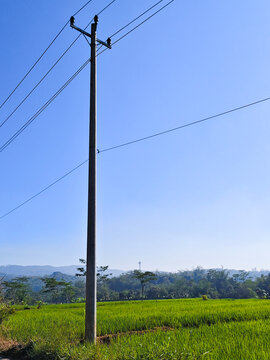 Power Pole in Rural Landscape