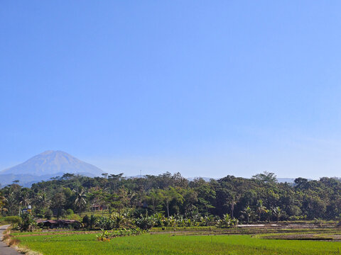 Mountain Landscape With Lush Greenery And Blue Sky