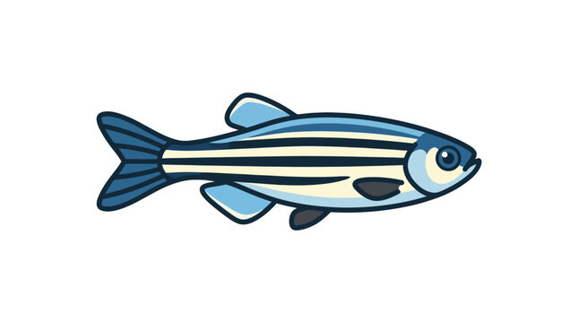 Zebrafish Vector Illustration