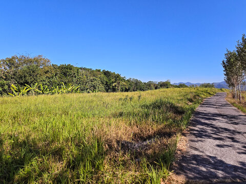 Pathway Through Green Fields Under Blue Sky