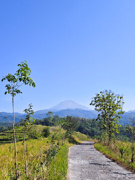 Scenic Road Leading to Distant Mountain