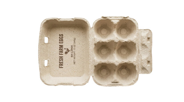 Empty egg carton with six compartments