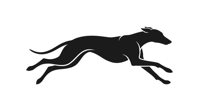 Black silhouette of a fast running greyhound dog.