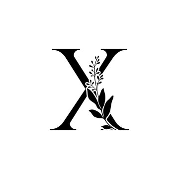 Elegant botanical monogram letter X with decorative floral leaves. Black serif alphabet vector isolated on white background for logos, branding, wedding invitations and wedding stationery