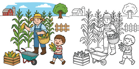 Fototapeta premium farmer harvesting sweet corn from tall corn stalks cartoon clipart and lineart print vector illustration for school educational color coloring book