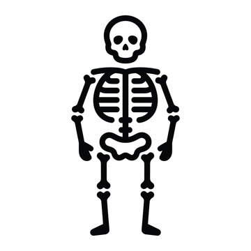 Single human skeleton character in outline style on white background icon.
