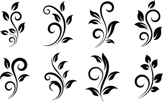  Elegant black silhouette vector icon set of assorted decorative vine swirls, leafy branch flourishes, and botanical calligraphic ornaments isolated on a white background.Elegant black silhouette vect