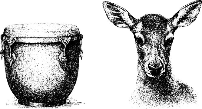 Bongo drum and deer head black and white stippled illustration for background poster or banner design featuring percussion and wildlife motifs