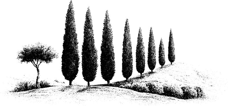 Row of columnar cypress trees on a rolling hillside black and white stipple landscape for banner and poster background design