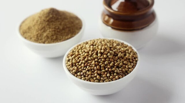 Indian spice called coriander seeds and coriander powder isolated on white background selective focus 