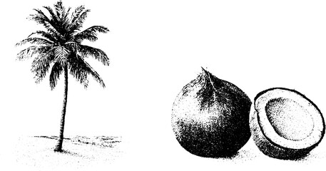 Obraz premium Black and white stipple coconut palm tree with halved coconut composition for tropical background and decorative design
