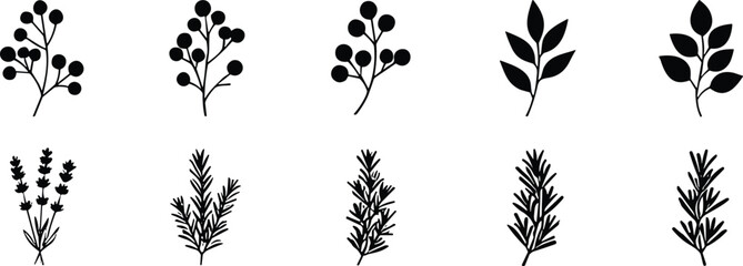 Black silhouette illustrations of botanical elements including berry stems, leafy branches, lavender sprigs, and rosemary-like herbs in minimalist monochrome style © SOURAV