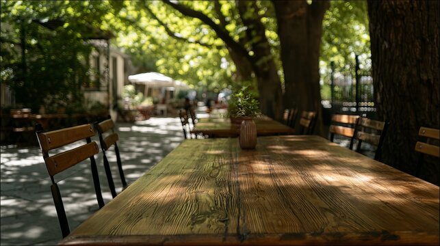 A tranquil outdoor cafe scene bathed in dappled sunlight, showcasing wooden tables and chairs under a lush green canopy of trees