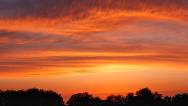 Orange sunset sky over silhouetted tree line. Vibrant panoramic cloudscape with layered clouds and warm golden light