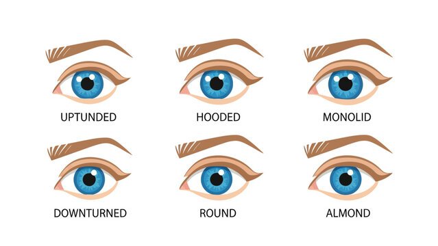 Eye Shape Guide with six labeled blue eye illustrations ideal for beauty blogs and makeup tutorials.