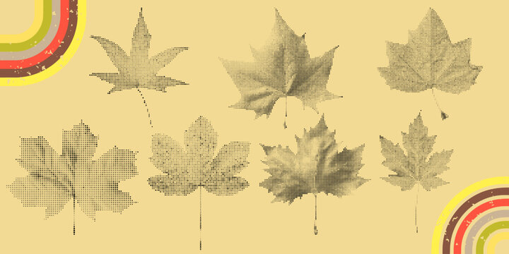 Vintage Halftone Autumn Maple Leaf Collage
